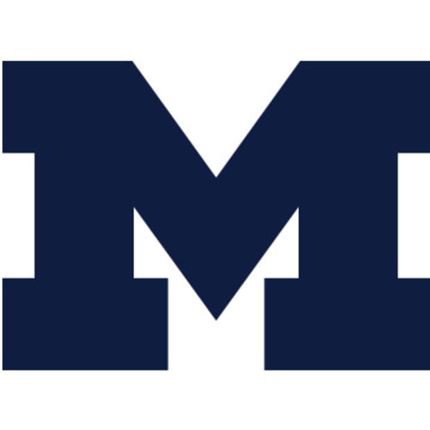 Michigan Wolverines Logo